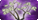 Money Tree